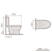 YS22210P 2dílná keramická toaleta, splachovací toaleta s uzavřeným P-trapem;
